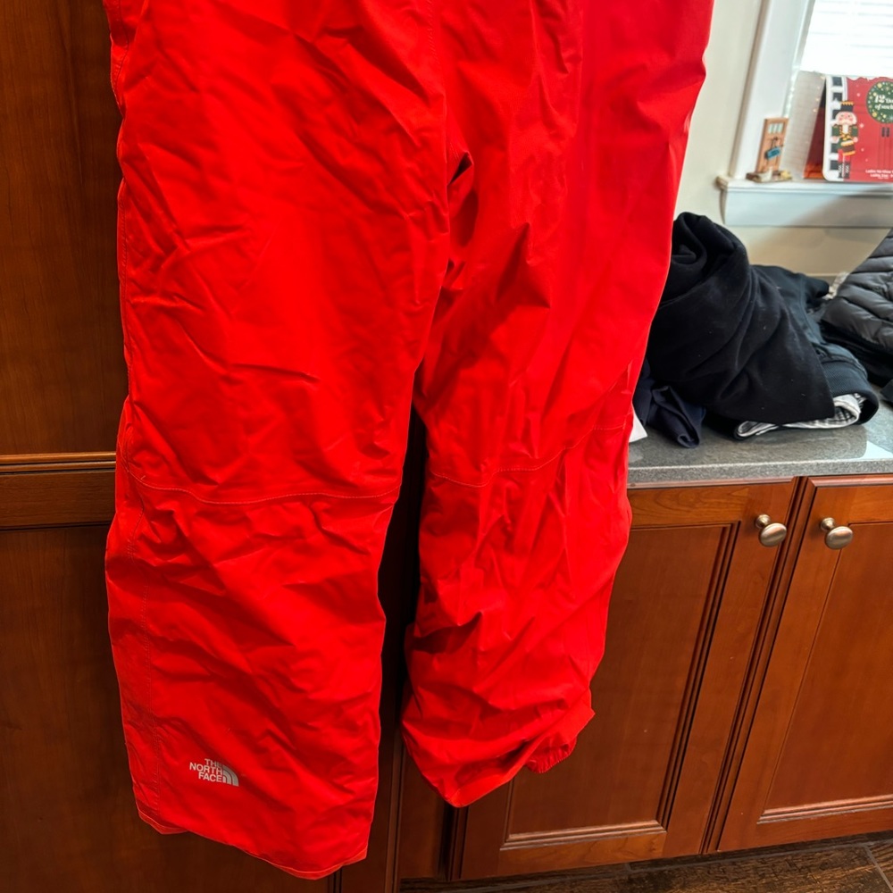 North Face ski pants